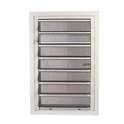 Roll-Up-Down-Aluminium-Glasläden mit Schirm und Aluminiumrahmenschutz