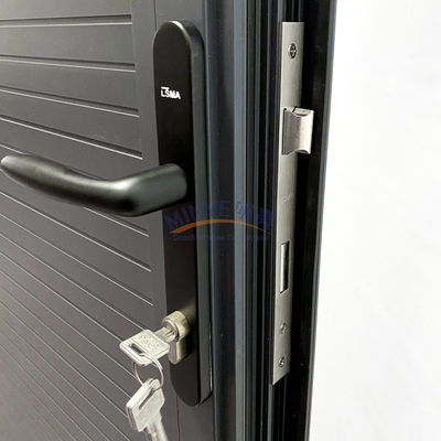 Moderne Design Aluminium Ganze Panel Casement Tür für Außenanwendungen