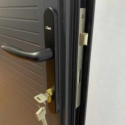 Modern Design Europe Sicherheits Tür aus Stahl mit Schlössern Scharniere und Griffe