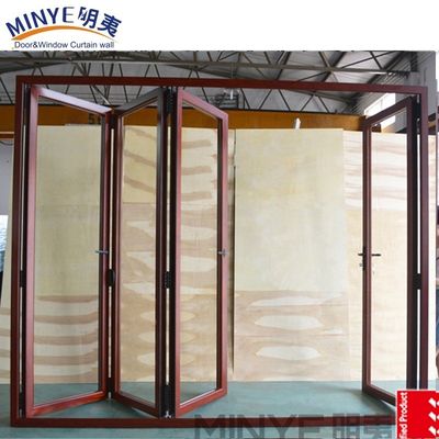Moderne Design Außen-Zweifachtür mit Aluminiummaterial und geflochtenem Mesh Screen