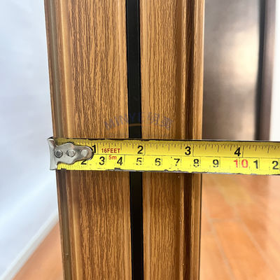 Doppelgehärtetes Glas zum Hurrikanschutz Aluminium-Schiebefenster mit Magnetschirm