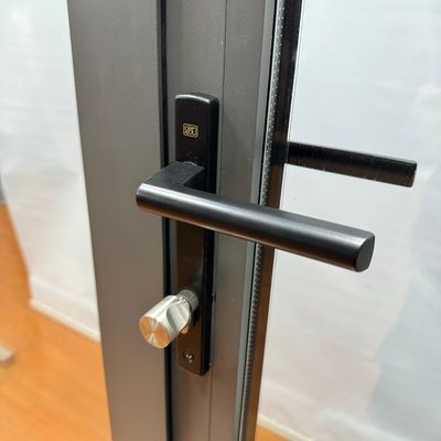 Glasfaser-Bildschirm-Netzwerk Material Glas Schwingetür Shop Villa Grafikdesign Lösung